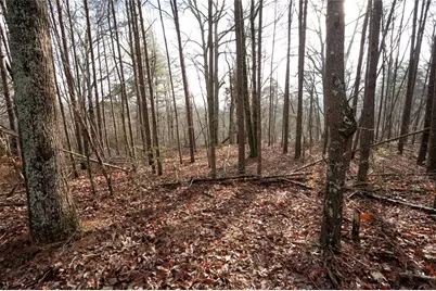 1 Amber Court, Jasper, GA 30143 - Photo 9