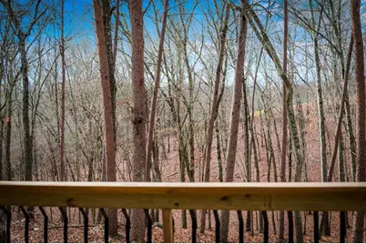 2393 Ada Street, Blue Ridge, GA 30513 - Photo 3