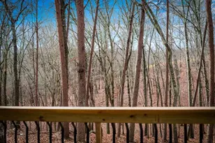 2393 Ada St, Blue Ridge, GA 30513 - Photo 3