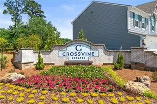 59 Champagne Pl, Braselton, GA 30517 - Photo 47