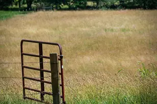 332 Night Ln, Epworth, GA 30541 - Photo 71