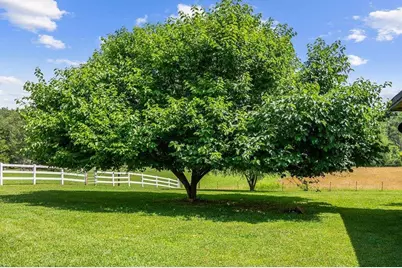 332 Night Lane, Epworth, GA 30541 - Photo 75