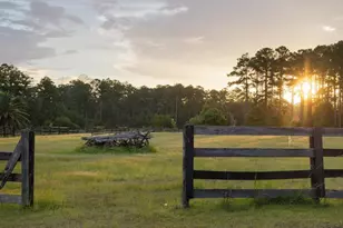 1300 Retreat Rd, Riceboro, GA 31323 - Photo 63