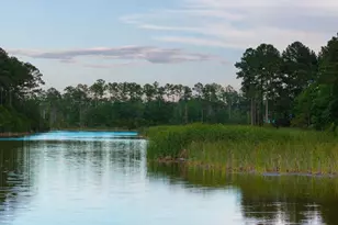 1300 Retreat Rd, Riceboro, GA 31323 - Photo 65