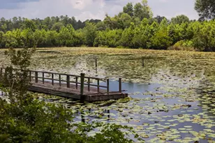 1300 Retreat Rd, Riceboro, GA 31323 - Photo 69