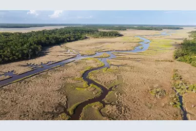 1300 Retreat Road, Riceboro, GA 31323 - Photo 81