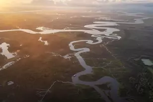 1300 Retreat Rd, Riceboro, GA 31323 - Photo 77