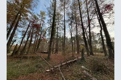 4926 Maroney Mill Road, Douglasville, GA 30134 - Photo 21