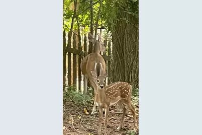 4075 Dream Catcher Drive, Woodstock, GA 30189 - Photo 3