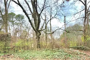 0 Jonesboro Rd, Atlanta, GA 30354 - Photo 1