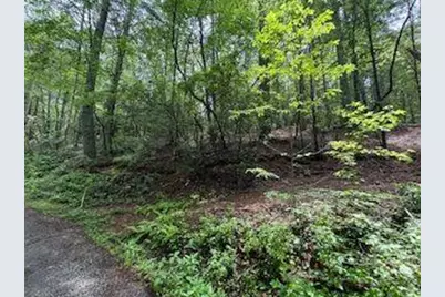 0 Ts Jarrard Rd, Unit Tract 3, Dahlonega, GA 30533 - Photo 3