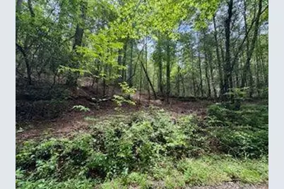 0 Ts Jarrard Rd, Unit Tract 3, Dahlonega, GA 30533 - Photo 5