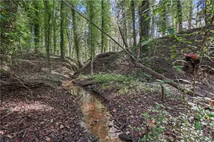 0 Carson Graves Rd, Watkinsville, GA 30677 - Photo 9