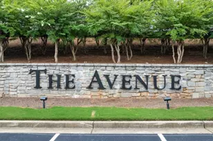 115 Cyrilla Walk, Dallas, GA 30132 - Photo 39