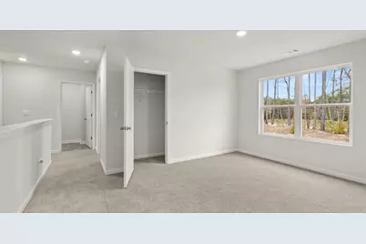 115 Cyrilla Walk, Dallas, GA 30132 - Photo 17