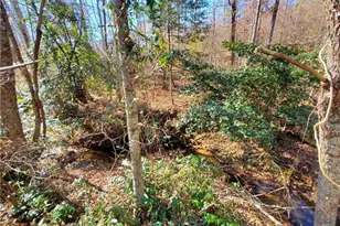 1116 Cody Rd, Mount Airy, GA 30563 - Photo 29