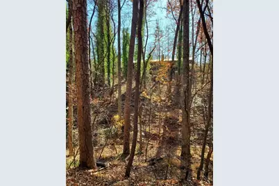 1116 Cody Road, Mount Airy, GA 30563 - Photo 35