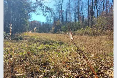 1116 Cody Road, Mount Airy, GA 30563 - Photo 31