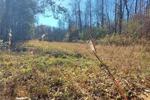 1116 Cody Rd, Mount Airy, GA 30563 - Photo 31