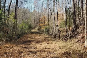 1116 Cody Rd, Mount Airy, GA 30563 - Photo 33