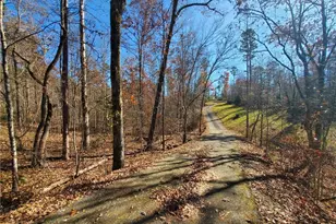 1116 Cody Rd, Mount Airy, GA 30563 - Photo 37