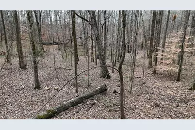 7307 Williams Road, Flowery Branch, GA 30542 - Photo 17