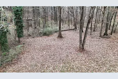 7307 Williams Road, Flowery Branch, GA 30542 - Photo 25