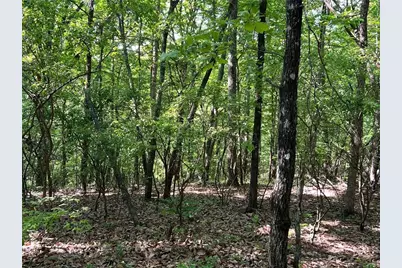 3285 Wood Poppy Drive, Jasper, GA 30143 - Photo 5