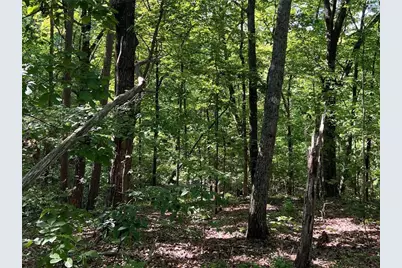 3285 Wood Poppy Drive, Jasper, GA 30143 - Photo 7