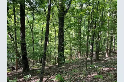 3285 Wood Poppy Drive, Jasper, GA 30143 - Photo 9