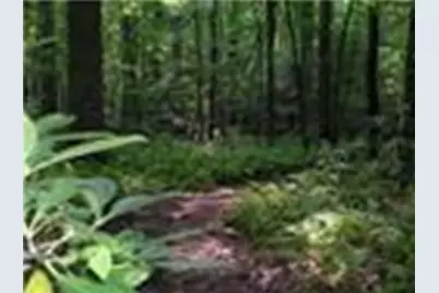 113 Elder Court, Waleska, GA 30183 - Photo 31