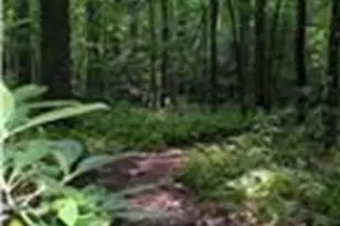 113 Elder Ct, Waleska, GA 30183 - Photo 31