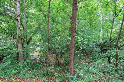 346 Thorn Creek Way, Dallas, GA 30157 - Photo 51