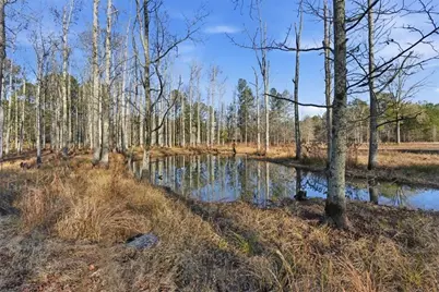 11 Appaloosa Court, Taylorsville, GA 30178 - Photo 53