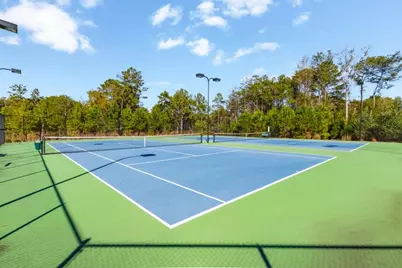 221 Milton Overlook Pass, Woodstock, GA 30188 - Photo 61