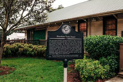 126 Brandle Rose Way, Hoschton, GA 30548 - Photo 123