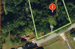 1173 Dabbs Bridge Rd, Dallas, GA 30132 - Photo 51