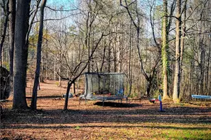 1173 Dabbs Bridge Rd, Dallas, GA 30132 - Photo 39