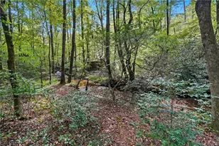 257 Foot Hills Dr, Cleveland, GA 30528 - Photo 51