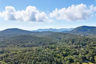 257 Foot Hills Dr, Cleveland, GA 30528 - Photo 59