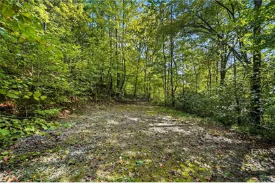 257 Foothills Drive, Cleveland, GA 30528 - Photo 53