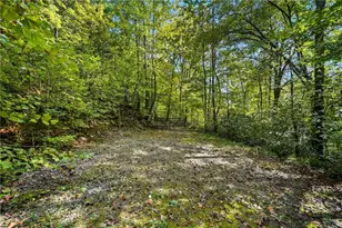 257 Foot Hills Dr, Cleveland, GA 30528 - Photo 53