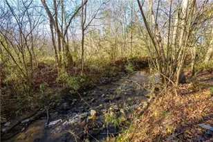 5875 Chestnut Dr, Cumming, GA 30040 - Photo 49