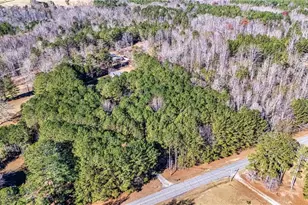 618 Welcome To Arnco Rd, Newnan, GA 30263 - Photo 41