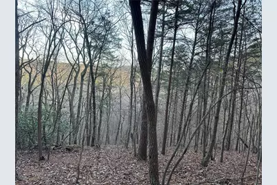 810 Bagwell Trail, Waleska, GA 30183 - Photo 11