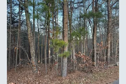 810 Bagwell Trail, Waleska, GA 30183 - Photo 21