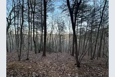 810 Bagwell Trail, Waleska, GA 30183 - Photo 9