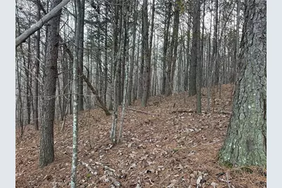 810 Bagwell Trail, Waleska, GA 30183 - Photo 3