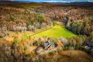 100 Walnut Trace, Mineral Bluff, GA 30559 - Photo 69