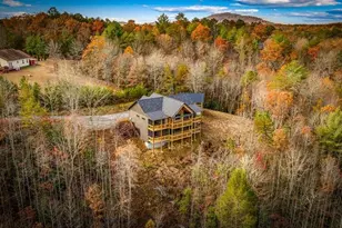 100 Walnut Trace, Mineral Bluff, GA 30559 - Photo 71